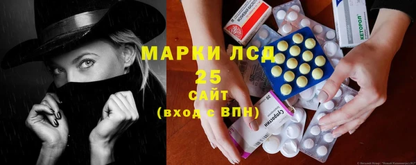 эйфоретик Гусь-Хрустальный