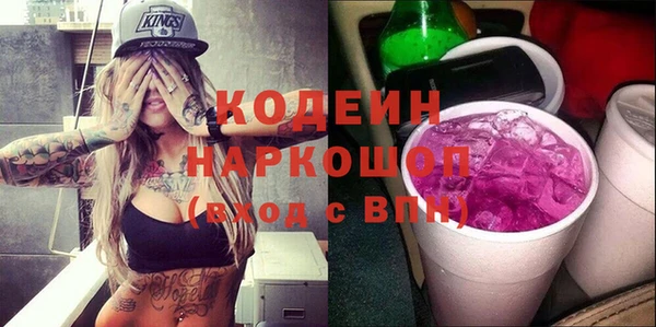 эйфоретик Гусь-Хрустальный