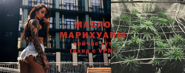 эйфоретик Гусь-Хрустальный