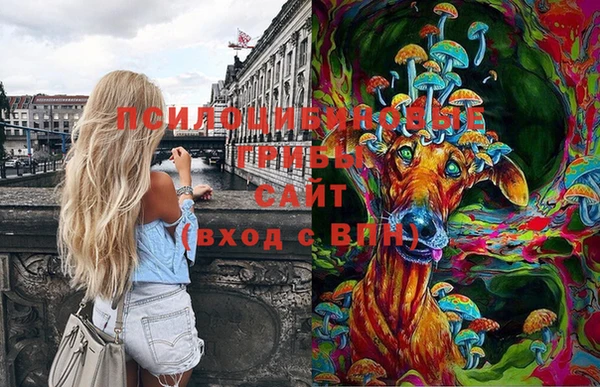 метамфетамин Гусев