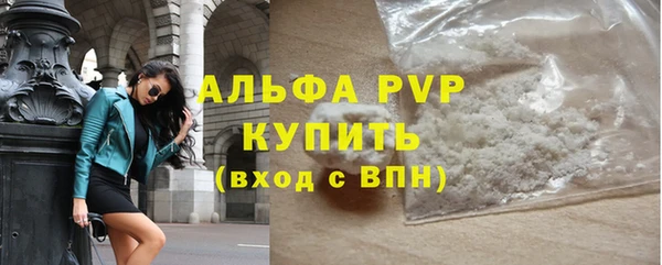 эйфоретик Гусь-Хрустальный