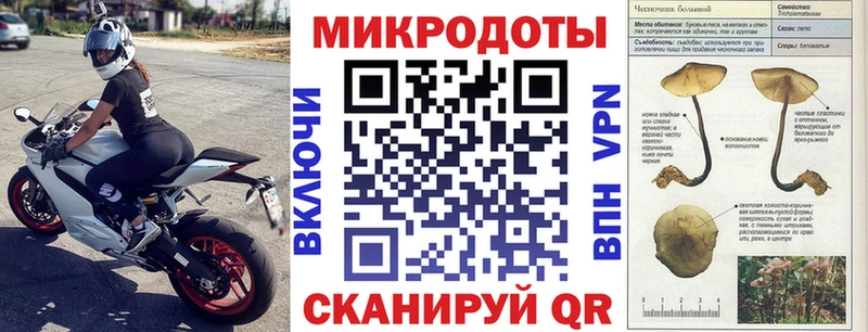 Купить  Курганинск  Галлюциногенные грибы GOLDEN TEACHER 